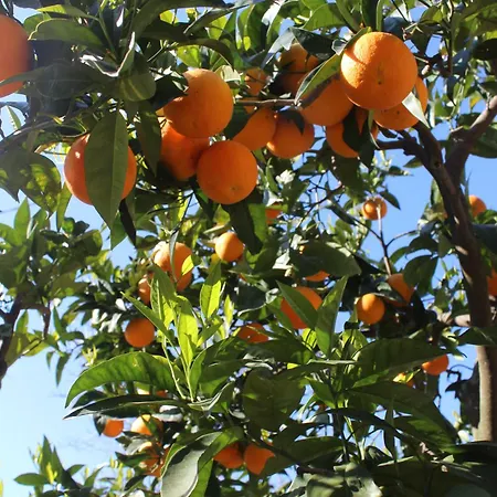 Casa Betania Da Peppe 度假居