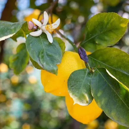 Casa Betania Da Peppe 펜션