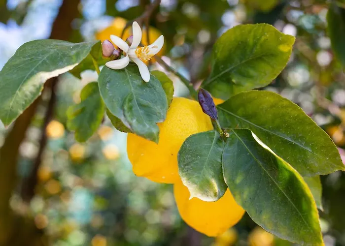 Casa Betania Da Peppe Nyaraló