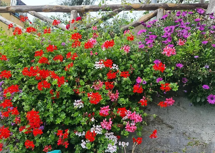 Casa Betania Da Peppe Holiday home