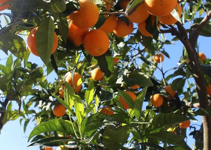 Casa Betania Da Peppe Nyaraló
