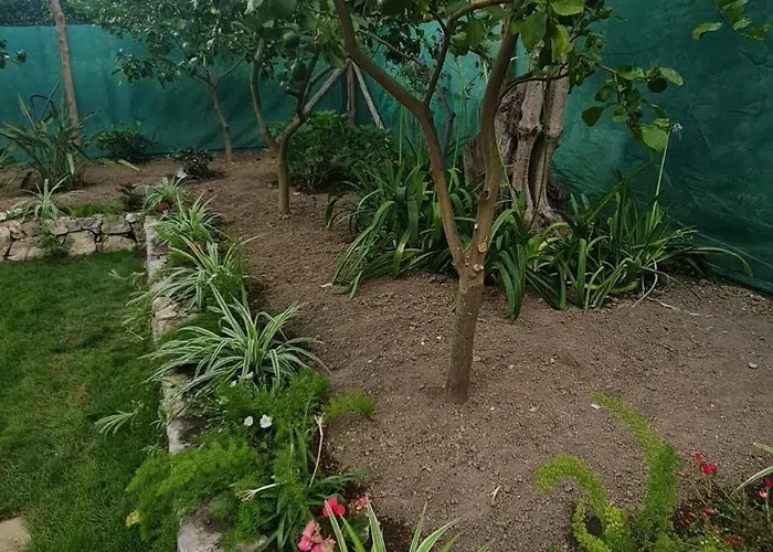 Holiday home Casa Betania Da Peppe *