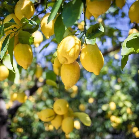Casa Betania Da Peppe Prázdninový dům