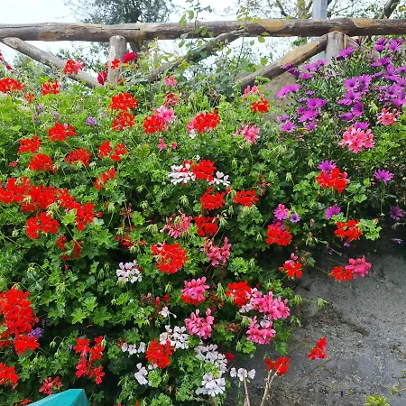 Casa Betania Da Peppe Prázdninový dům