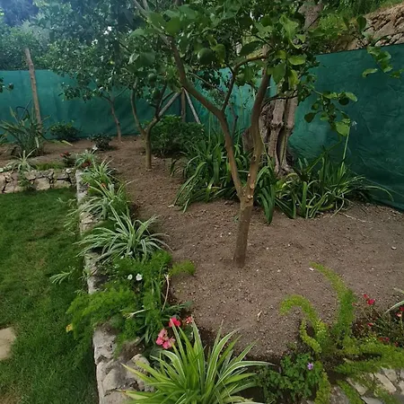 Prázdninový dům Casa Betania Da Peppe *