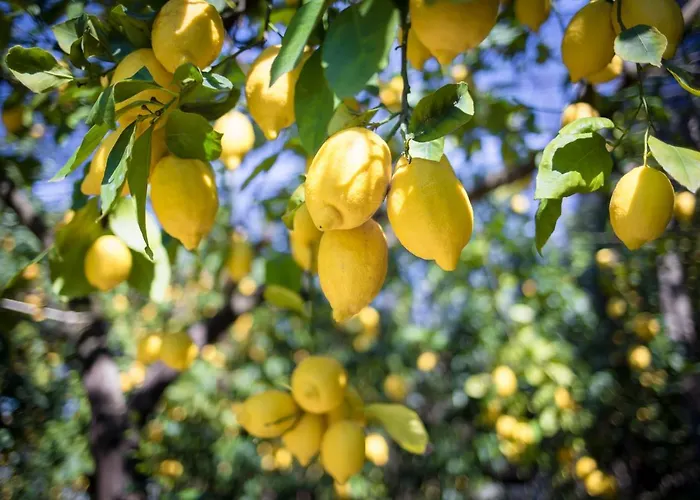 Casa Betania Da Peppe Feriehus